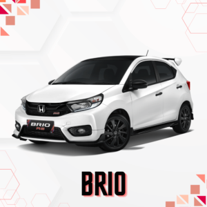 BRIO